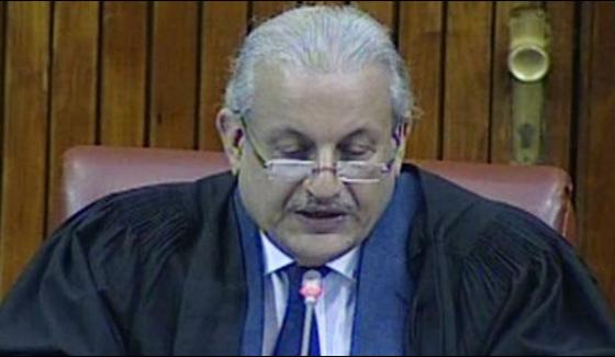 Chairman Senate Raza Rabbani