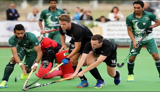 Pakistan Win Hockey Series Against New Zealand