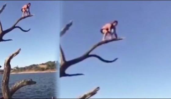 Australian Man Clung Expensive Hobby Stunts