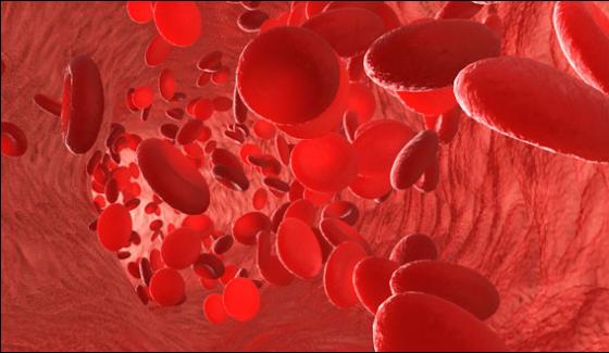 Red Cells Of Blood Produced In Research Center
