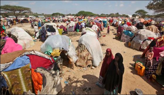 Cholera Epidemic In Somalia And The Risk Of A Severe Shortage Of Food