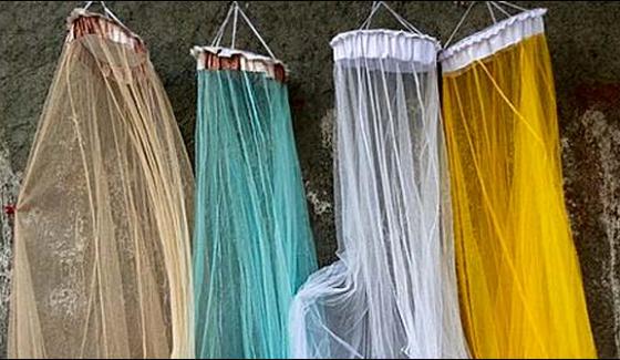 Colorful Mosquito Nets Focus In Summers