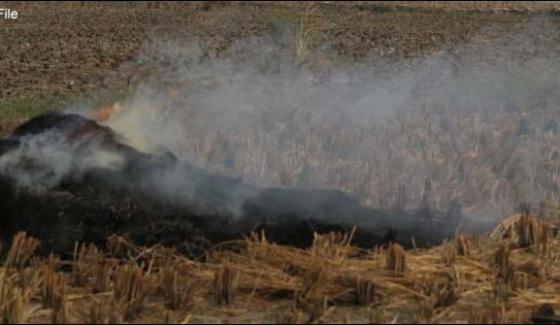 4 Acre Wheat Crop Was Burned Area