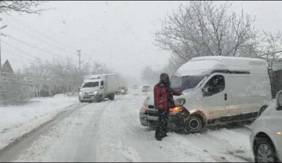 Ukraine Unexpected Snowfall In April Surprised People