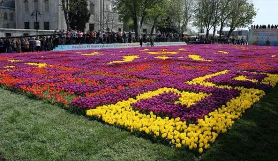 Istanbul Largest Carpet Furnished With 55 Million Tulips