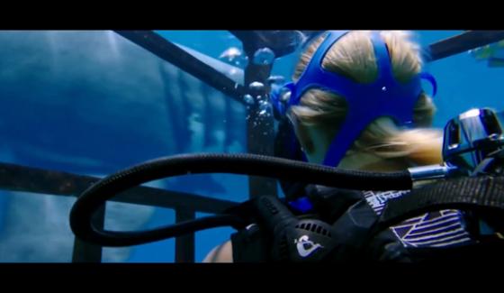 New Official Trailer 47 Meter Down