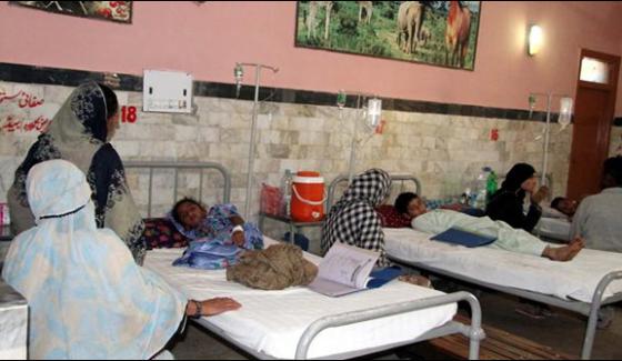 Chikungunya Disease Spread In Karachi City