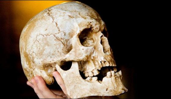 Russia Ready To Handover A Skull Said To Be Hitlers To Laboratory Examination