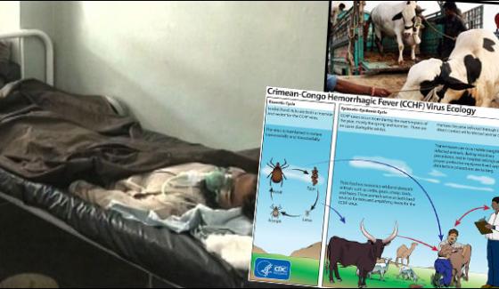 Congo Patient Died In Quetta