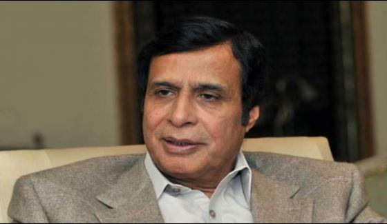 Both The Brothers Tell Lies Rhythmically Pervaiz Elahi