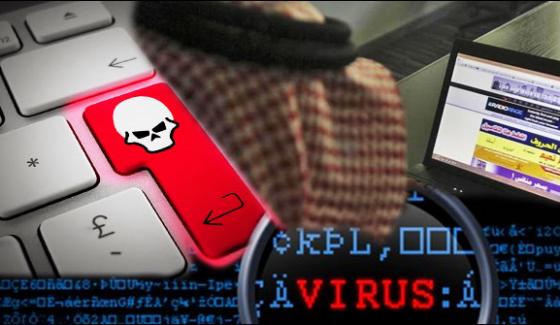 Saudi Arabia Ransom Virus The Careful Instructions