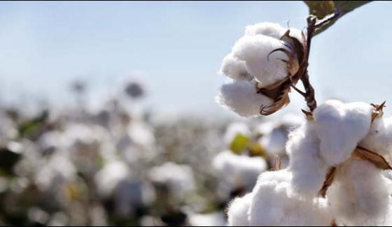 The Cultivation Of Cotton And Other Crops