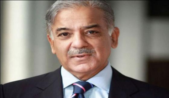 Punjab Chief Minister Shahbaz Sharif Has Approved The Establishment Of The Public Health Agency