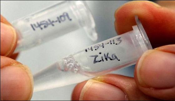 Zika Virus In India Patients Cured Who