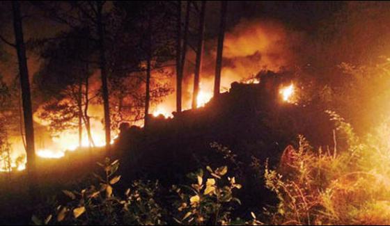 Murree Fourth Day Of The Fire In Grapes Forest