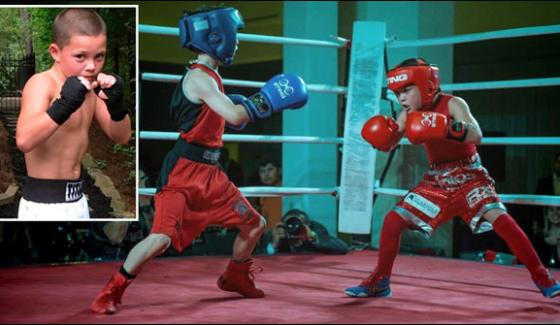 Ten Year Old American Boy Became Boxing Star