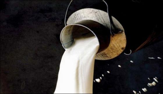 Punjab Food Authority Action Against Hazardous Milk In 5 Cities