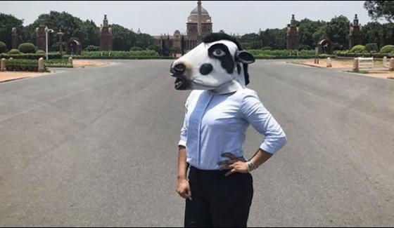 Kolkata Photographers Series On Women Wearing Cow Masks Protests Indias Misplaced Priorities