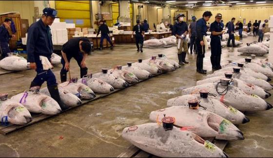 Transfer Of Japans Ancient Fish Market To The New Location