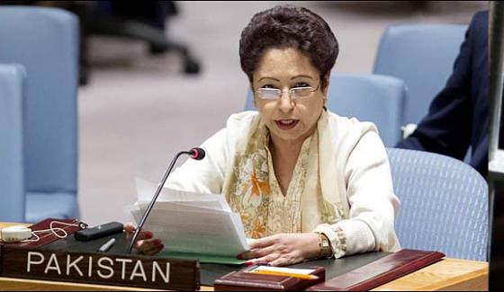 Militants Safe Houses Are In Afghanistan Maleeha Lodhi