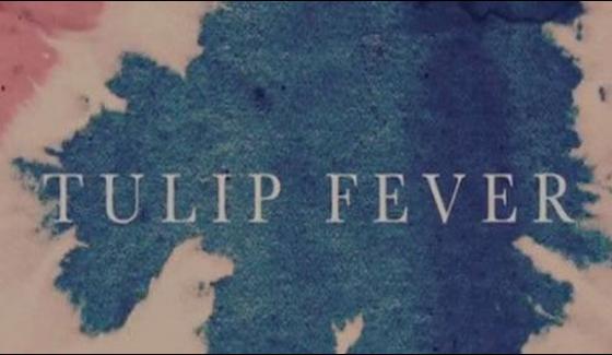 Full Of Romance Tulip Fever Trailer Released