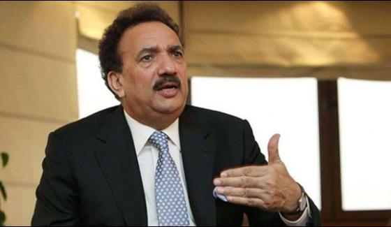 If The Noise Company Is Named As A Company I Will Leave Politics Rehman Malik