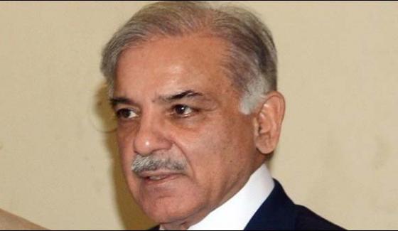 Shahbaz Sharif Woes On Death By Rain Related Incidents