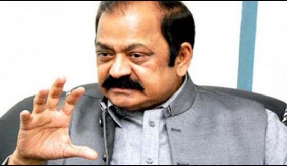 There Was Pressure To Register A Case Against Raymond Davis Rana Sana Ullah