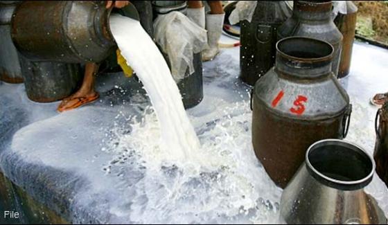 Unhygienic 1260 Litres Of Milk Wasted In Multan