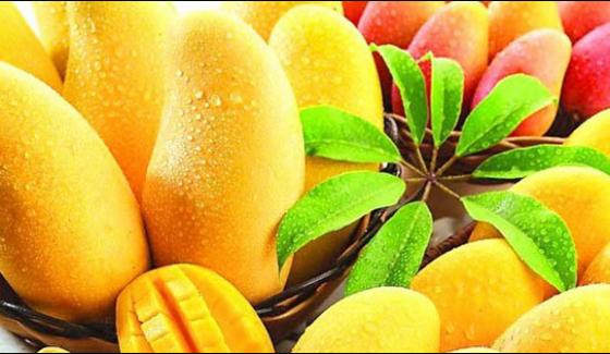 3 Days Exhibition Of Mango In Multan