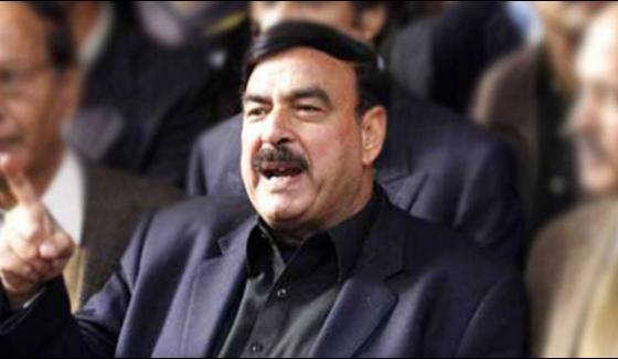 Game Ends For Pml N Sheikh Rasheed