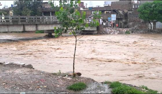Rain Casualty 4 Killed In Islamabad And Rawalpindi
