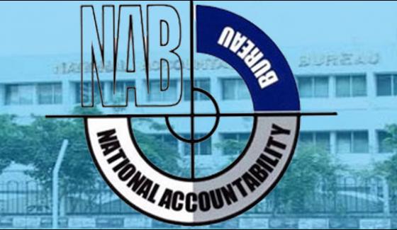 Nab Will Take Action Against Prime Minister In The Light Of Jit Report