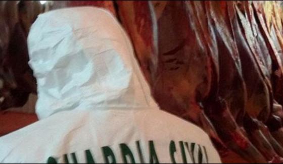 Unhygienic Horse Meat Scam Unearthed In Europe Group Arrests