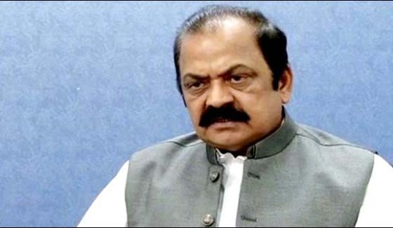 The Government Will Recognize The Supreme Courts Decision Rana Sana Ullah