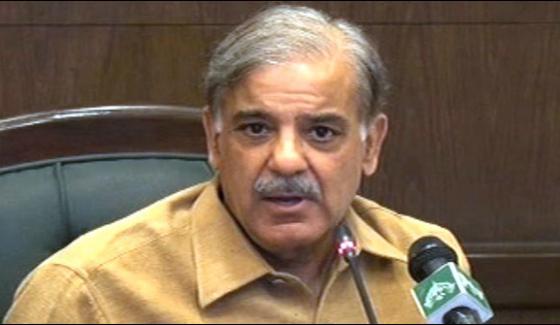 Father Of A Political Kid Looted Excessively Shahbaz Sharif