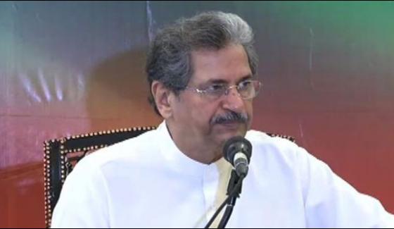 Democracy Will Be Strengthened With Pms Accountability Shafqat Mahmood