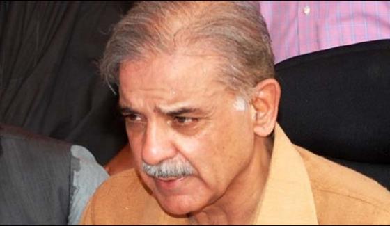 The Finders Will Not Get Anything To Find The Way Of Power Says Shehbaz