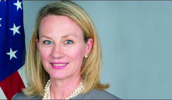 Alice Wells Appointed Us Special Envoy To Afghanistan Pakistan