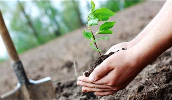 Plantation Campaign 10 Crore Plants Approval