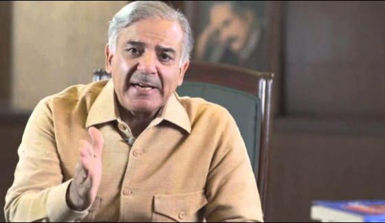 The Negative Politics Of Lies Broke In Front Of The Truth Shahbaz