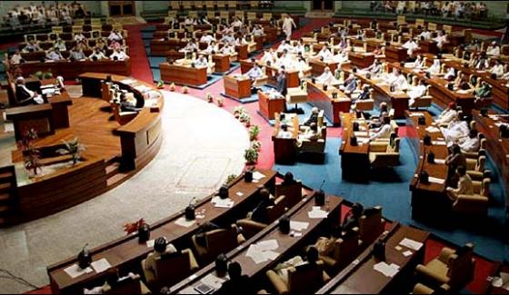 Screams Of Turtle Egg In The Sindh Assembly