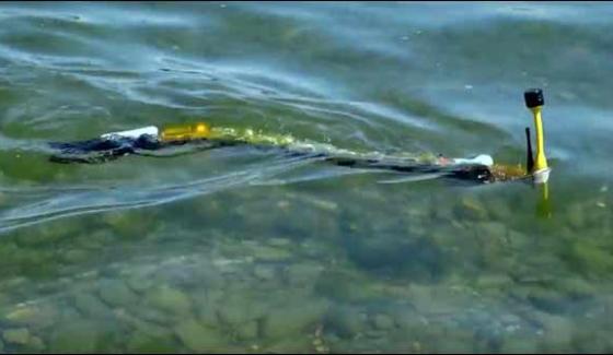 Pinpointing Sources Of Water Pollution With A Robotic Eel Fish