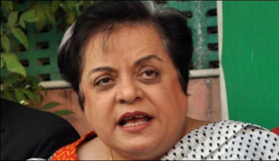 Which Investigations Shireen Mazari Reacts Over Ayesha Gulalis Allegations