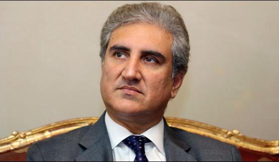 Depending On The Fact Of The Corrupt Elements Democracy Will Be Strong Shah Mehmood Qureshi