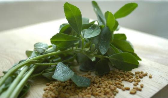 Fenugreek Leave And Seeds Are Very Usefull In Many Diseaseshealth Experts