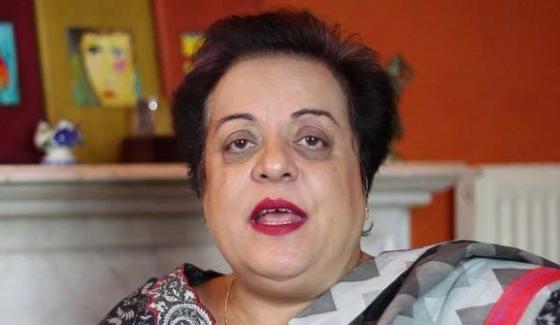 Shireen Mazari Wrote Letter To The Speaker On Aisha Gulalai Statement