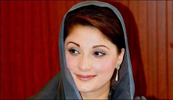 Lion In Jhelum Maryam Nawaz Tweets