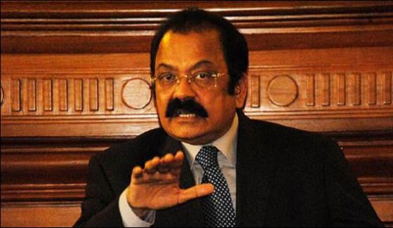 Consultations Are Made On Decisions Before Party Meeting Rana Sana