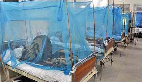 Dengue Virus Confirmed In More Than 700 People